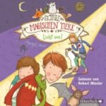 Die Schule der magischen Tiere 3: Licht aus!, 2 Audio-CD