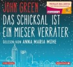 Das Schicksal ist ein mieser Verräter, 5 Audio-CD
