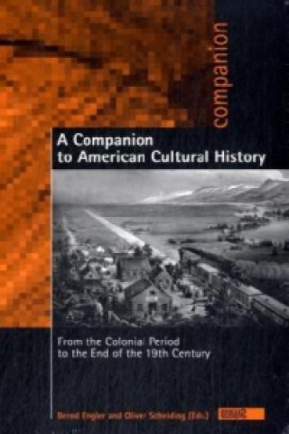 A Companion to American Cultural History