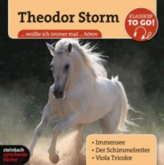 Theodor Storm, Klassiker to go, 6 Audio-CDs