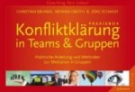 Konfliktklärung in Teams & Gruppen, Praxisbox