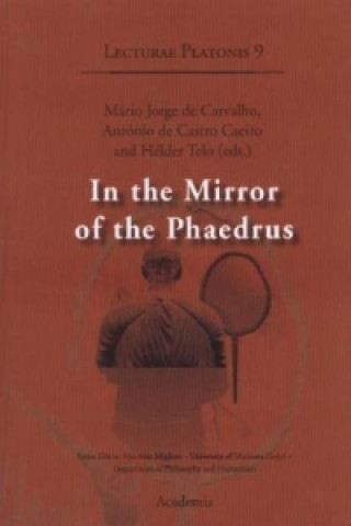 In the Mirror of the Phaedrus