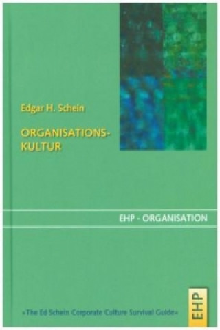 Organisationskultur