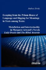 Escaping from the Prison-House of Language and Digging for Meanings in Texts Among Texts