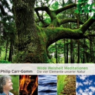 Wilde Weisheit Meditationen, 2 Audio-CDs