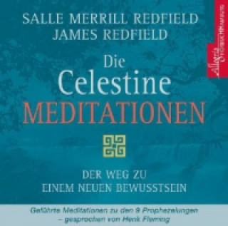 Die Celestine Meditation, 1 Audio-CD