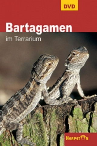 Bartagamen im Terrarium, 1 DVD