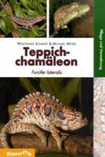 Teppichchamäleon