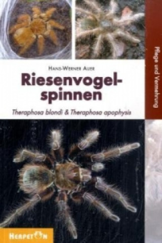 Riesenvogelspinnen