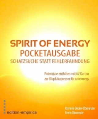 Spirit of Energy, Pocketausgabe für die Schatzsuche statt Fehlerfahndung, 67 Ktn.