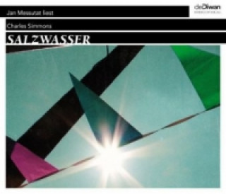 Salzwasser, 4 Audio-CDs