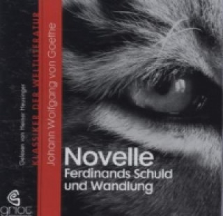 Novelle / Ferdinands Schuld und Wandlung, 1 Audio-CD