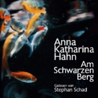 Am schwarzen Berg, 5 Audio-CD