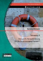 Solvency II - eine grosse Herausforderung fur die Versicherungswirtschaft?