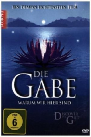 Die Gabe, DVD