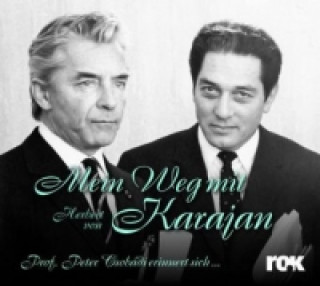 Mein Weg mit Karajan, 3 Audio-CDs