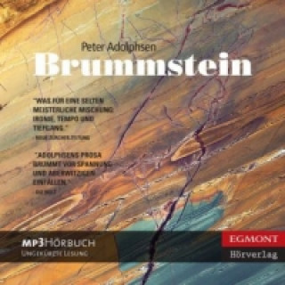 Brummstein, 1 Audio-CD