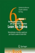 Governare i processi per governare l'impresa: Lean Six Sigma