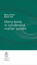 Many-body physics in condensed matter systems