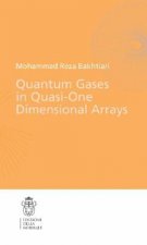 Quantum Gases in Quasi-One-Dimensional Arrays