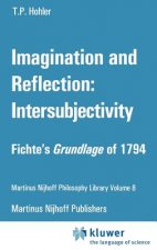 Imagination and Reflection: Intersubjectivity