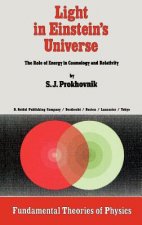 Light in Einstein's Universe