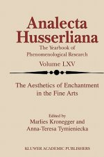 Aesthetics of Enchantment in the Fine Arts
