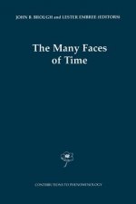 Many Faces of Time