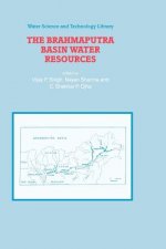 Brahmaputra Basin Water Resources