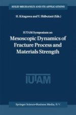 IUTAM Symposium on Mesoscopic Dynamics of Fracture Process and Materials Strength