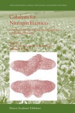 Catalysts for Nitrogen Fixation