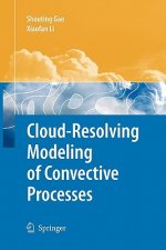 Cloud-Resolving Modeling of Convective Processes