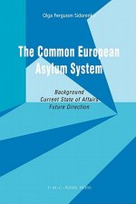 Common European Asylum System