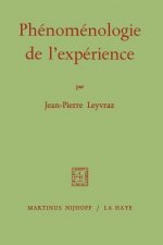 Phenomenologie de L'experience