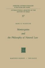 Montesquieu and the Philosophy of Natural Law