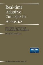 Real-Time Adaptive Concepts in Acoustics