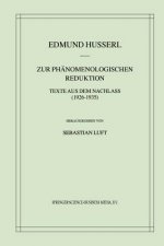 Zur Phanomenologischen Reduktion