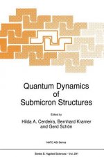 Quantum Dynamics of Submicron Structures