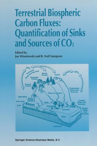 Terrestrial Biospheric Carbon Fluxes Quantification of Sinks and Sources of CO2