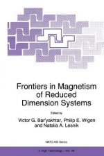 Frontiers in Magnetism of Reduced Dimension Systems