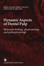 Dynamic Aspects of Dental Pulp