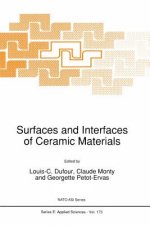 Surfaces and Interfaces of Ceramic Materials