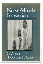 Nerve-Muscle Interaction