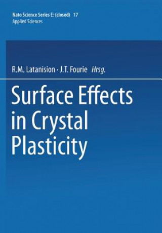 Surface Effects in Crystal Plasticity