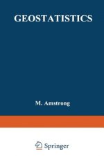 Geostatistics