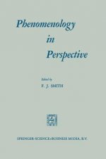 Phenomenology in Perspective