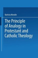 Principle of Analogy in Protestant and Catholic Theology