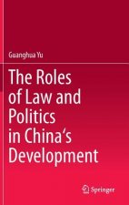 Roles of Law and Politics in China's Development