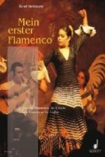 Mein erster Flamenco, Gitarre