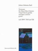 Triosonate g-moll